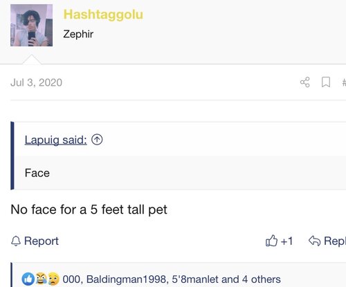 DB646F24-1914-4C73-8D17-1B2DF44DC446.jpeg