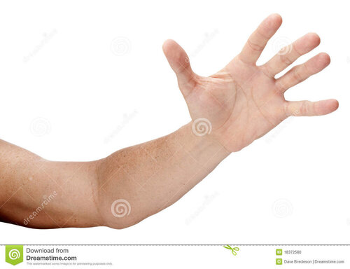 Hand reaching out isolated 18372580