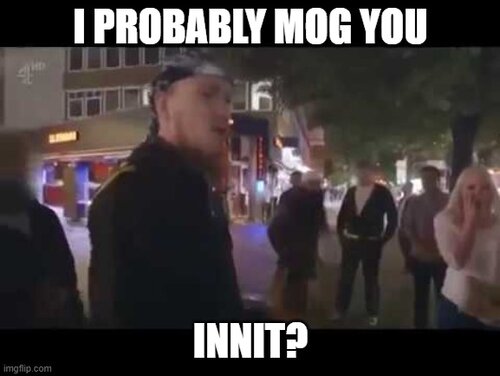 mogged.jpg