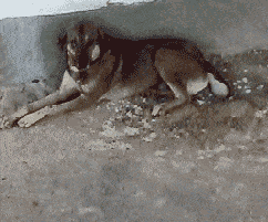 1603584883948.png
