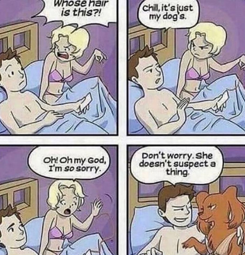 Skrtmemes 123160994165181355257825266408782066125989n