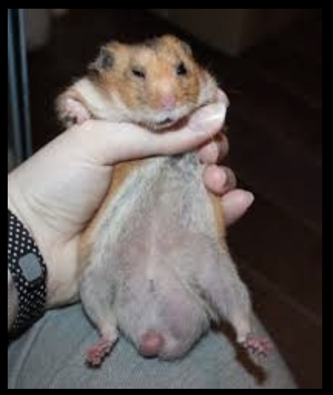 42508773 0AD2 43C1 BB82 CEA47F1F6CB9