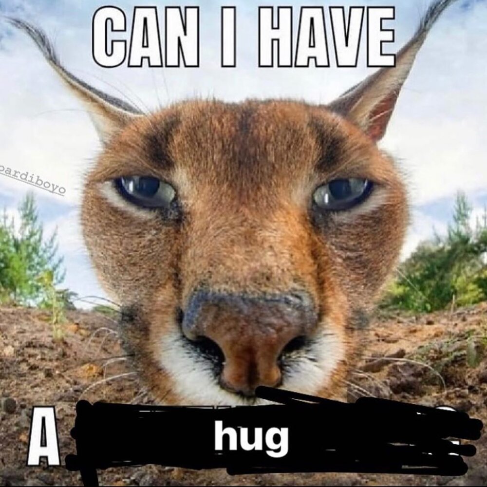 Grandmasbutt 1231436004368563877065168512749872160102788n