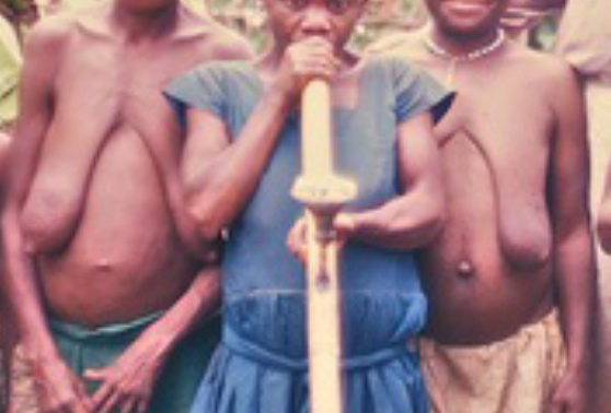 AA4AAA39 5FD4 483C B548 867DEC1D676A