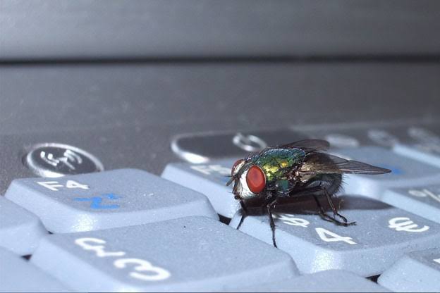 A6F760CF 3A92 4B73 B0FC 92B36C59900A