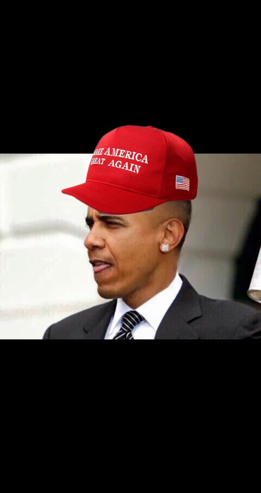 1FC44781 A499 4B3C 85AF E6CC6F4C47BF