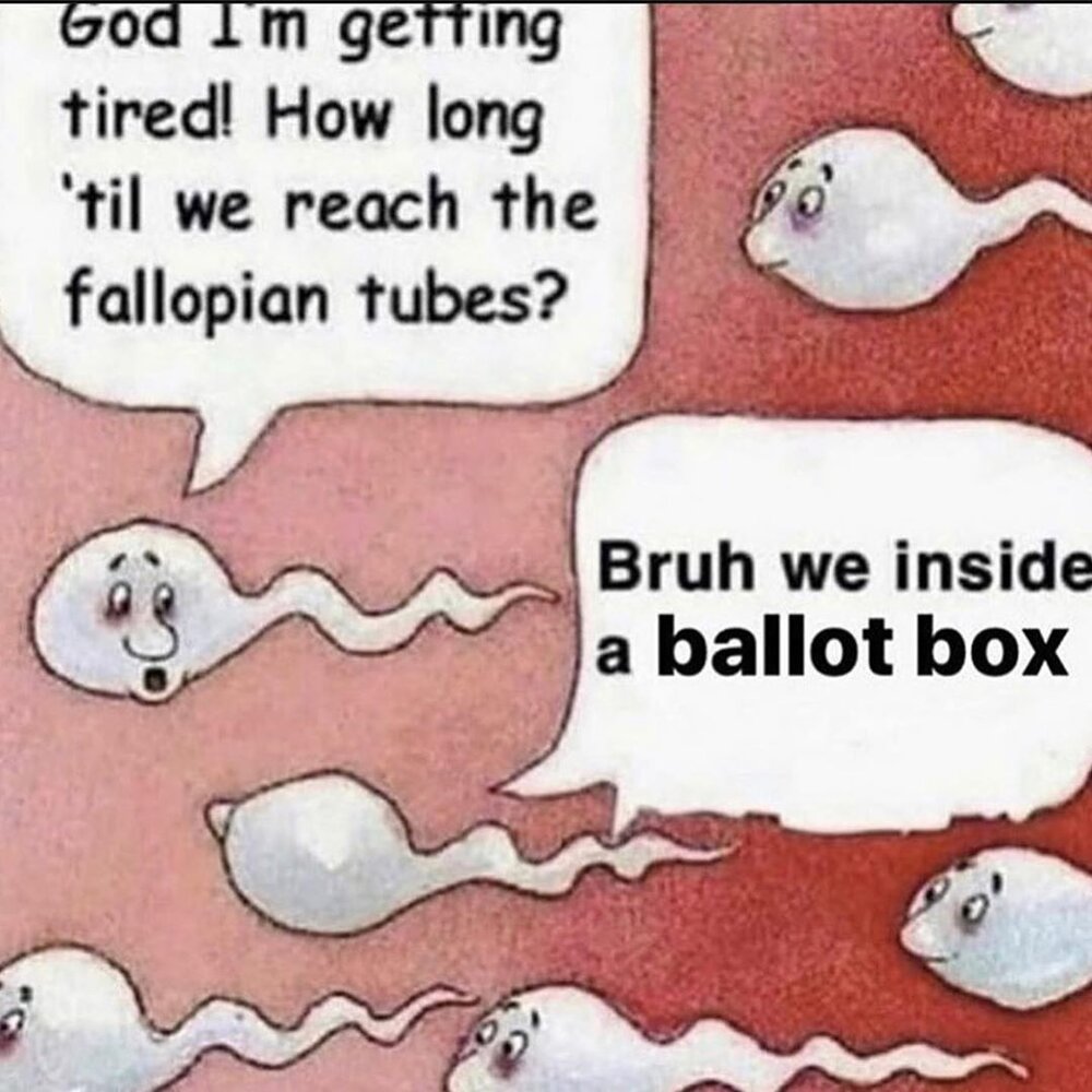 Chronicmemesv2 1234392476990618543240544795737516931970461n