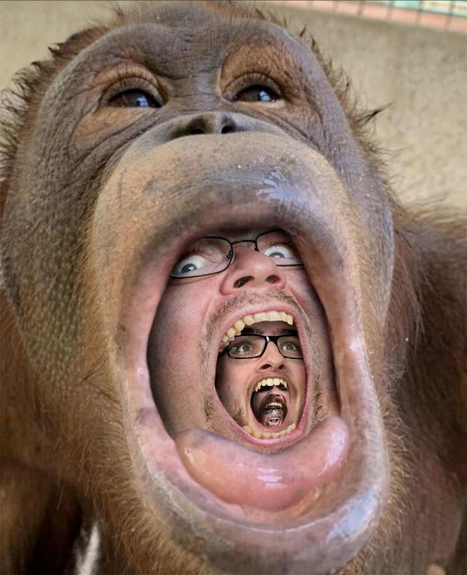 780122 829b28db2932ee122c5f725be2597661