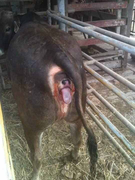 876045FD 47B2 4AF9 A8C0 3B32076147E0