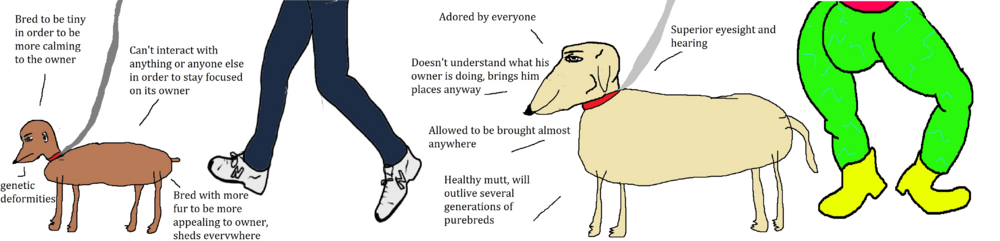 Dog chad