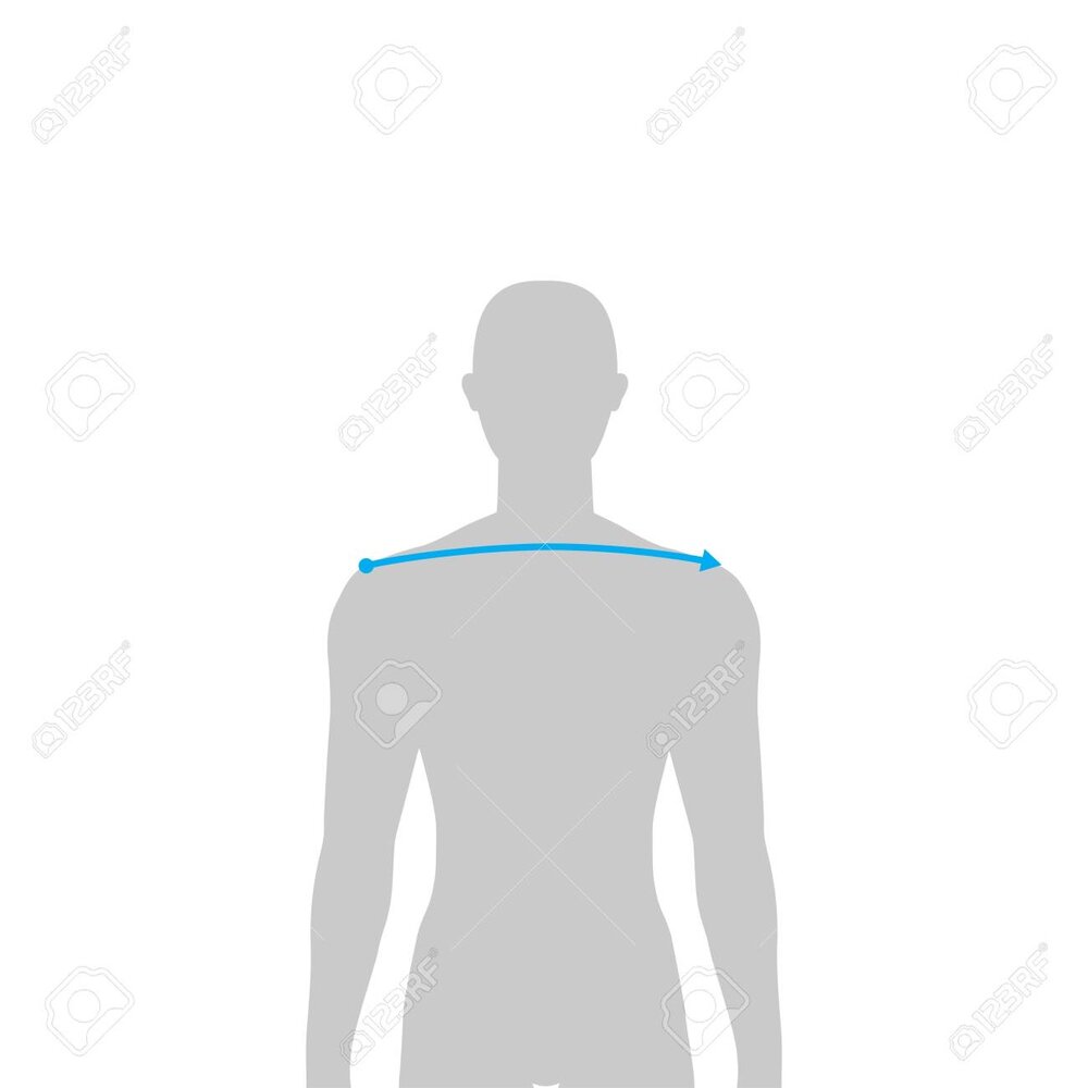 11E70D3D FA52 4100 A5D8 F9A8DC54B2D8