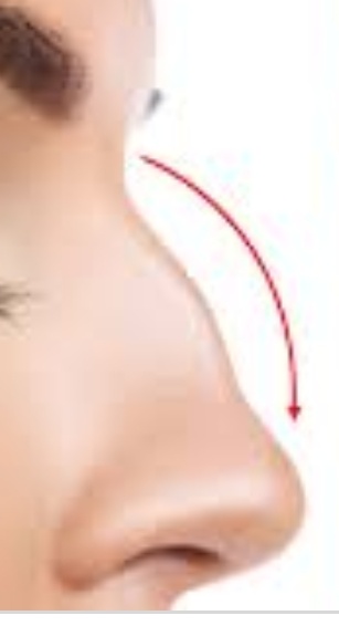 Screenshot 20201104 101811