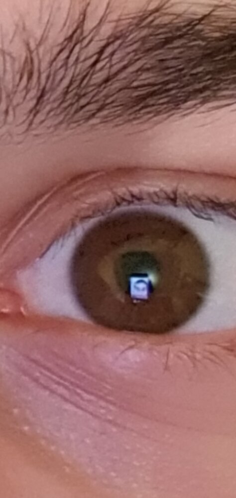 Screenshot 20201105 063720