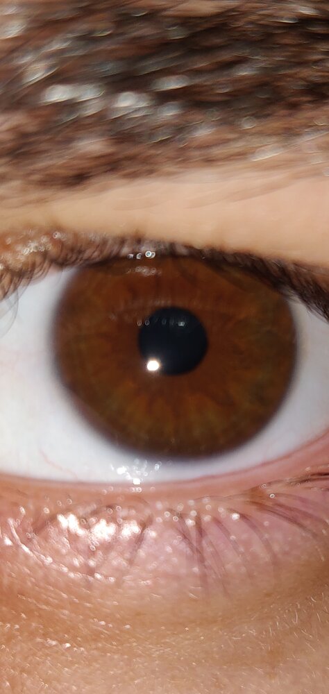 Screenshot 20201105 062144