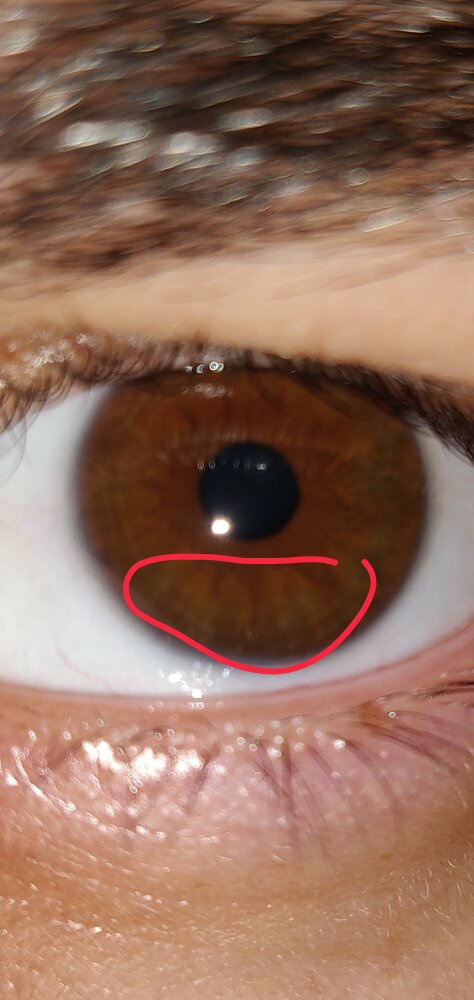 Screenshot 20201105 062144  01