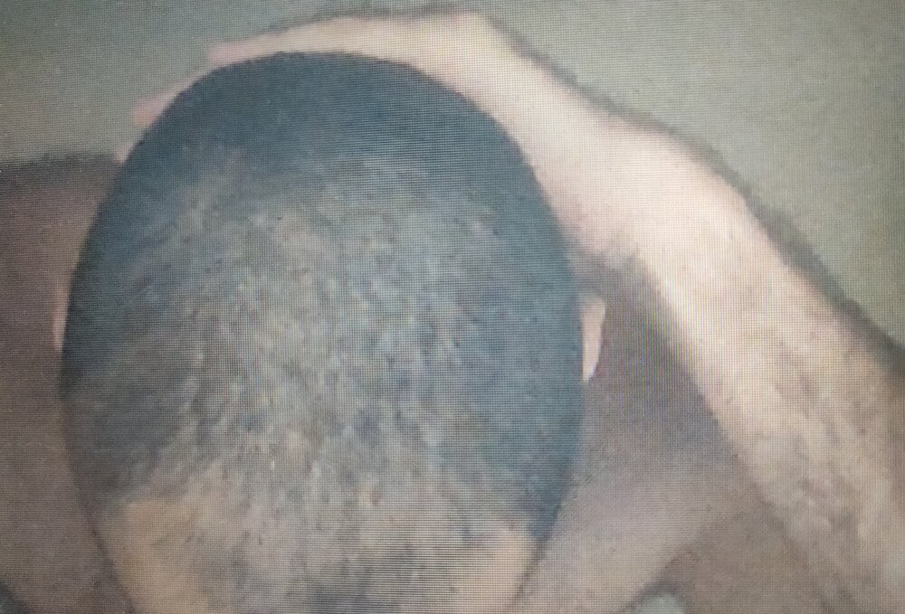 IMG 20201106 121926  01