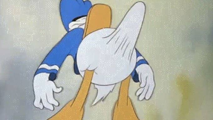 Duck bonet