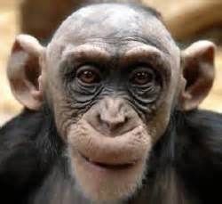 E106032cd9ad6da0dc375695d3ba2020