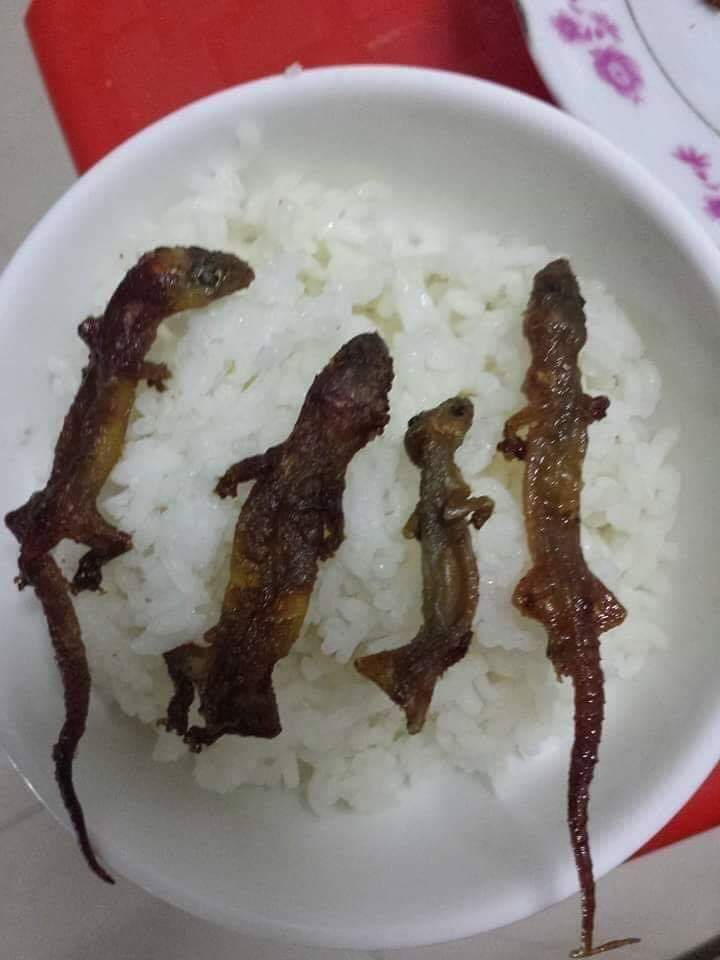 FEE96C16 3BD8 4E9B B80A E202F356F2F5