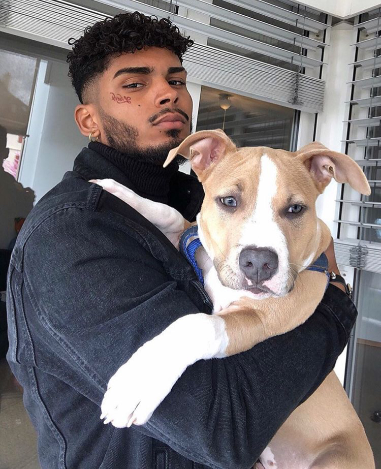 9F6FF52F 01A6 43EA A8FF 51D8A1C8C5BC