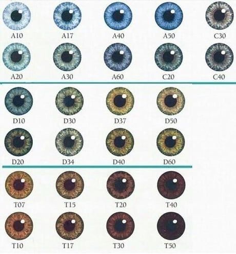 Eyecolors