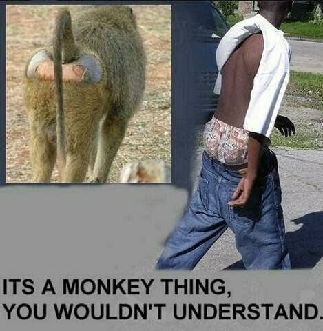 IMG 20201107 050656 723