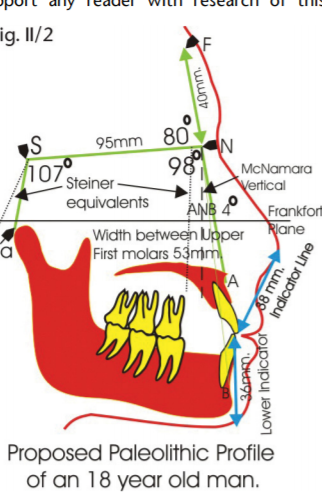 1604754334628
