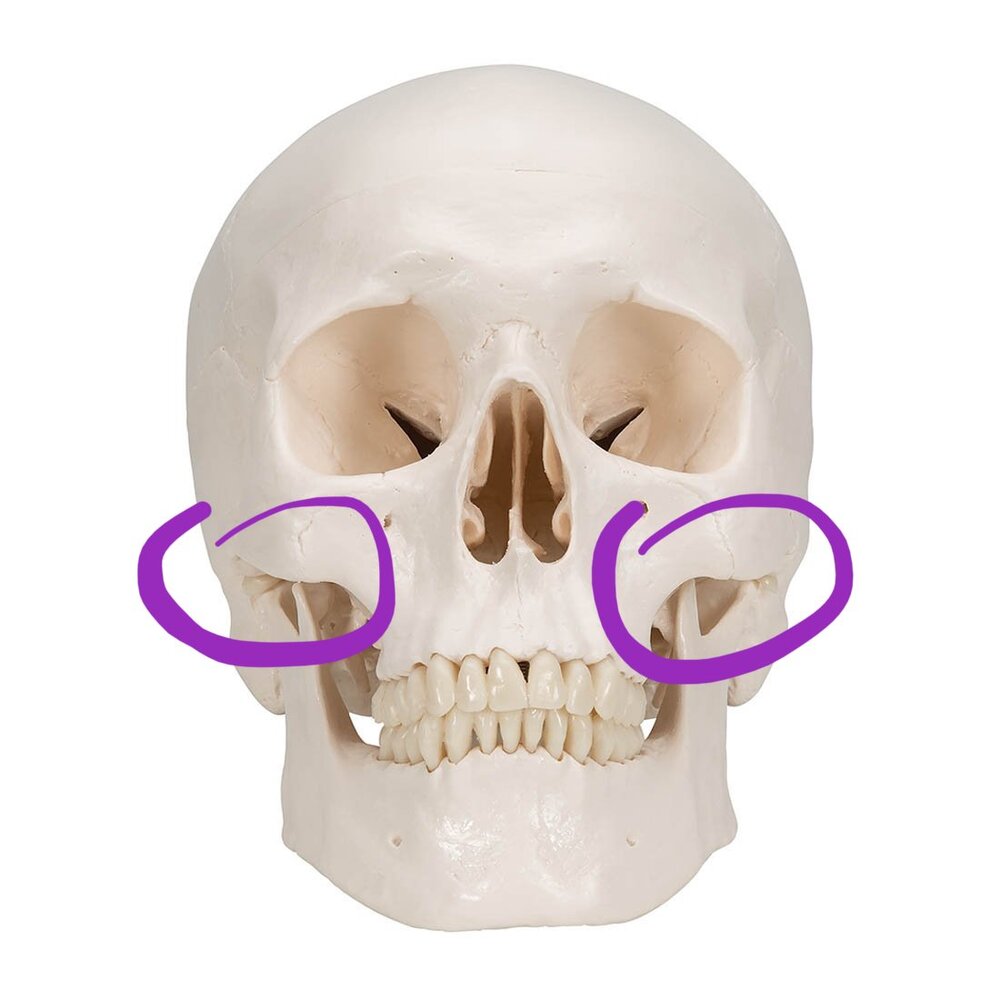 8D7B7F8E FFB5 4EDD A501 07FB033A70AA