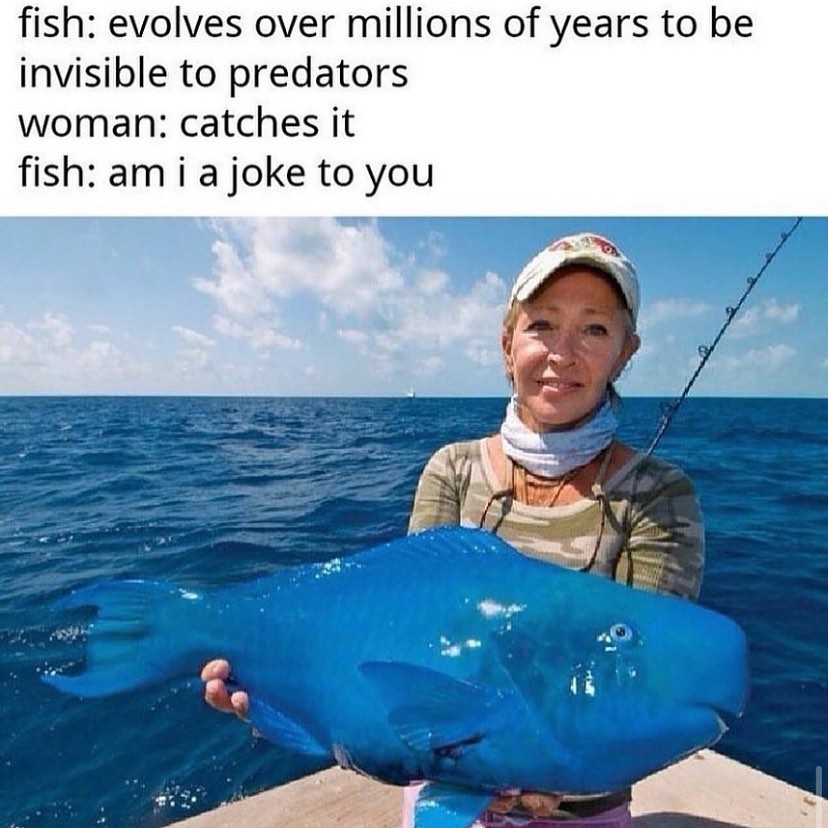 Memerempire 1237702526869106489237257768480880160909523n