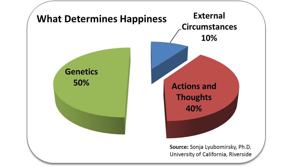 Pie chart what determines happiness