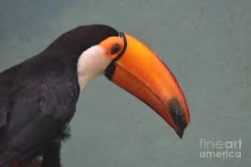 6E90160B 8495 4ADC B5D3 68130EBFEDAB