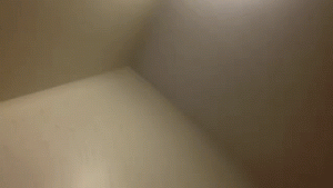 65A1855C CB8D 4018 B95C BD4999009B93