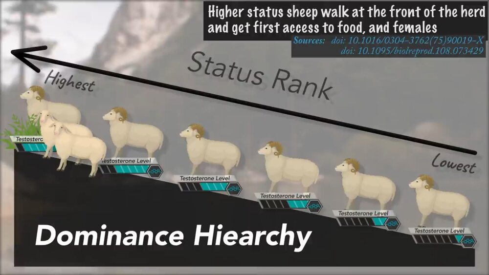 Screenshot 20200918 022834 YouTube 01