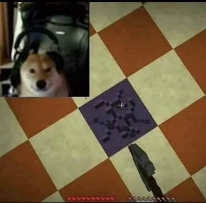 88625FFE A0B3 4069 B0E2 81732468F722