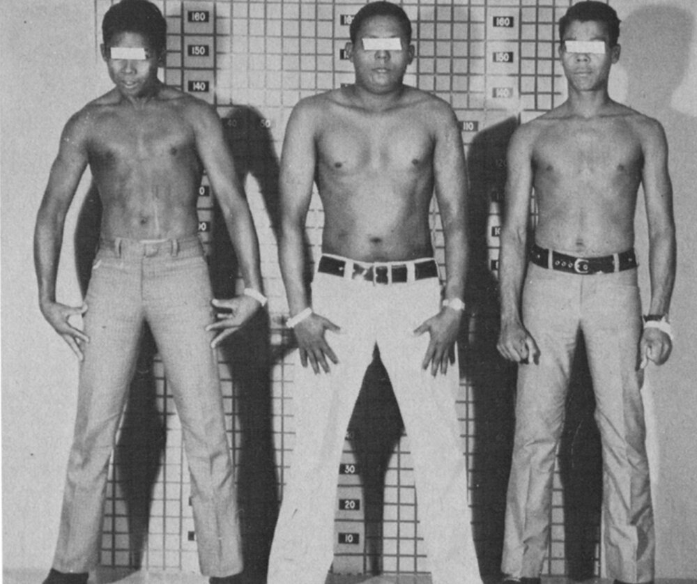 5386321F 9622 4566 9CCC 3C65B54A5A21