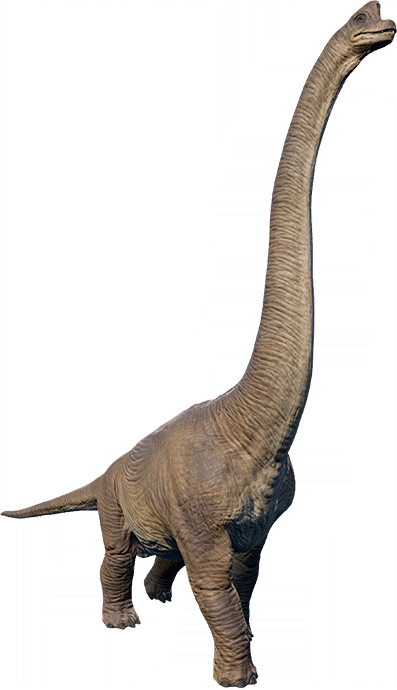 CE505A98 71C2 498D A76D 25C647537352