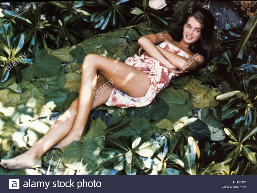 Brooke shields DHD52P