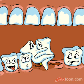 381954   Teeth inanimate sextoon