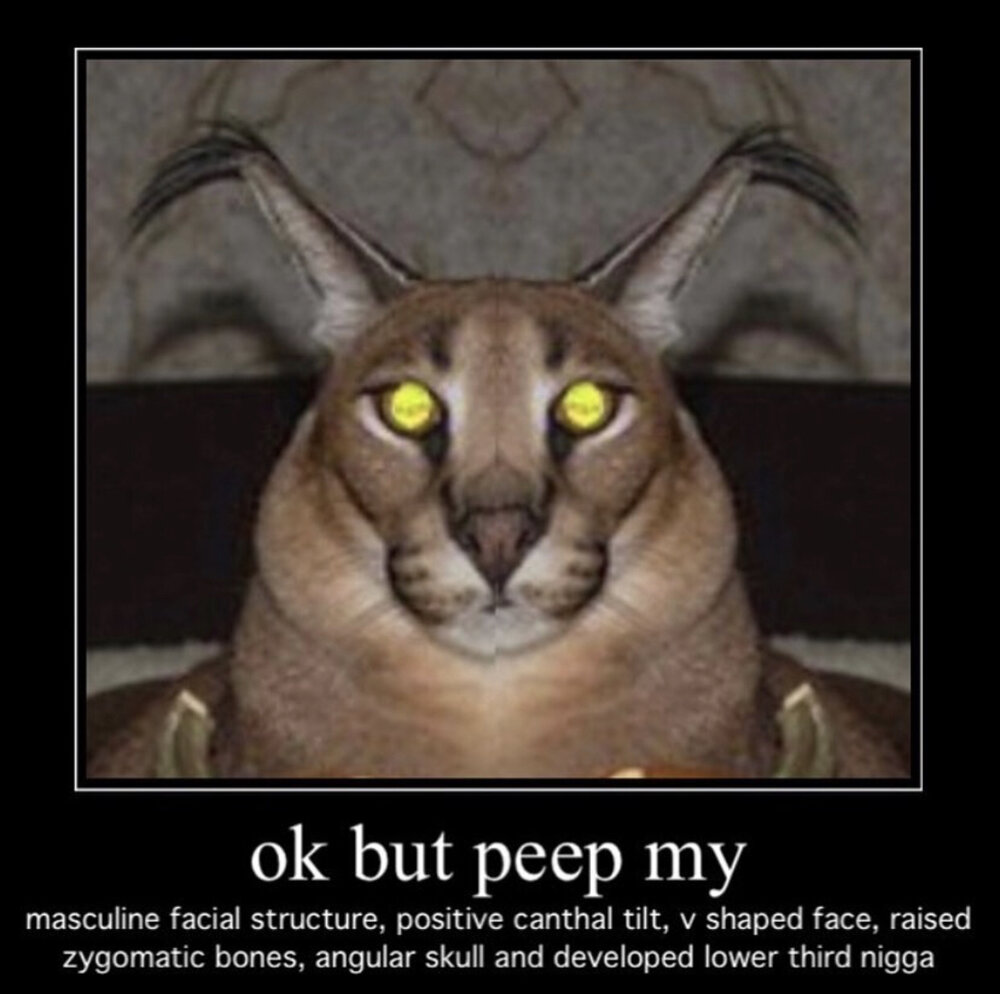 B84C76EB A002 4B01 A4DC 7D47942E2EE5