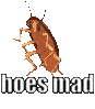1605178630267