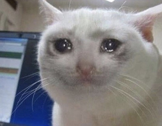 92A47DFD 957B 44CE 98DB A742C658101C