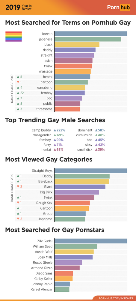 1 pornhub insights 2019 year review gay male