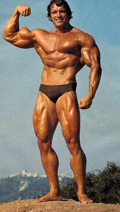 Arnold Schwarzenegger Success