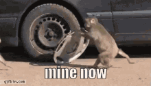 Mine now steal
