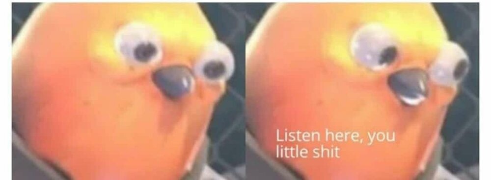 Screenshot 20201113 133327  01