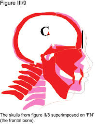 Images 5