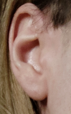 Ear