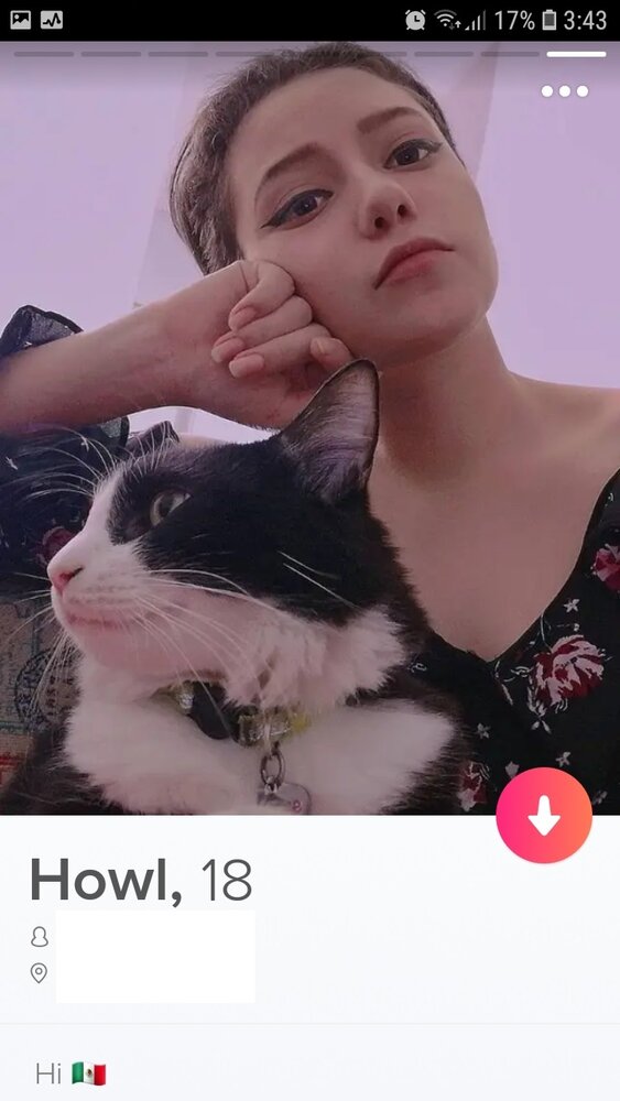 Screenshot 20200613 034305 Tinder