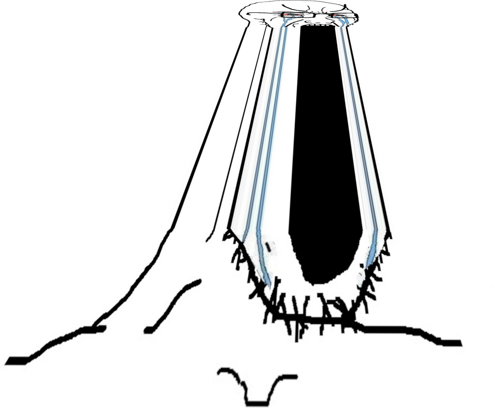 A735E6BE 7ECB 4E65 927C 53EAA17E390B