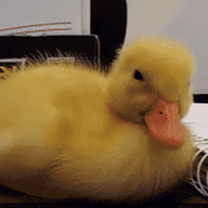 9141